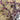 670dca8034be6e479edf2839_berries-2_1787654868391.jpg