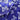 670dca8034be6e479edf2839_butterflies-2_1786033747860.jpg
