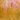 670dca8034be6e479edf2839_dyed-2_1755038833790.jpg