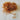 670dca8034be6e479edf2839_eye-burnt-gold_1750813261441.jpg