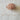 670dca8034be6e479edf2839_eye-peach_1750812650528.jpg