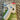 670dca8034be6e479edf2839_image_1749492479552.jpg