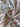 670dca8034be6e479edf2839_image_1769880394652.jpg