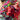 670dca8034be6e479edf2839_image_1774447534633.jpg