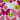 670dca8034be6e479edf2839_image_1780090095970.jpg