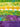 670dca8034be6e479edf2839_image_1782213687407.jpg