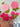 670dca8034be6e479edf2839_image_1787065676658.jpg