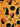 670dca8034be6e479edf2839_image_1787518183259.jpg
