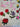 670dca8034be6e479edf2839_image_1787756399451.jpg