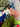 670dca8034be6e479edf2839_image_1790896631173.jpg