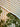670dca8034be6e479edf2839_image_1793104465748.jpg