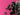 670dca8034be6e479edf2839_img-0002_1788903692850.jpeg