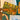 670dca8034be6e479edf2839_img-0010_1790543855916.jpeg