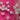 670dca8034be6e479edf2839_img-0023_1788986262864.jpeg