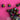 670dca8034be6e479edf2839_img-0048_1788987070074.jpeg
