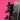 670dca8034be6e479edf2839_img-0052_1788986550812.jpeg