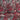 670dca8034be6e479edf2839_img-0055_1780571649376.jpeg