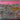 670dca8034be6e479edf2839_img-0136_1789327335659.jpeg