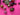 670dca8034be6e479edf2839_img-0162_1789328176274.jpeg