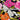 670dca8034be6e479edf2839_img-0163_1782651372956.jpeg