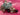 670dca8034be6e479edf2839_img-0163_1789328176274.jpeg