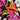 670dca8034be6e479edf2839_img-0165_1782651372955.jpeg