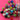 670dca8034be6e479edf2839_img-0165_1789328336071.jpeg