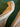 670dca8034be6e479edf2839_img-0165_1790725179436.jpeg