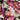 670dca8034be6e479edf2839_img-0166_1782651372955.jpeg