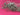 670dca8034be6e479edf2839_img-0174_1789336434202.jpeg
