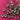 670dca8034be6e479edf2839_img-0175_1789336434202.jpeg
