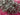 670dca8034be6e479edf2839_img-0176_1789336434203.jpeg