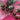 670dca8034be6e479edf2839_img-0181_1789336711892.jpeg