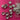 670dca8034be6e479edf2839_img-0191_1789337135407.jpeg