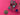 670dca8034be6e479edf2839_img-0227_1789338453520.jpeg