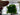 670dca8034be6e479edf2839_img-0241_1789338938895.jpeg