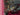 670dca8034be6e479edf2839_img-0248_1789339123710.jpeg