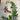 670dca8034be6e479edf2839_img-0259_1788815164701.jpeg