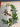 670dca8034be6e479edf2839_img-0259_1788815164701.jpeg