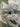 670dca8034be6e479edf2839_img-0265_1791127679644.jpeg