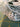 670dca8034be6e479edf2839_img-0267_1791127679645.jpeg