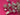 670dca8034be6e479edf2839_img-0272_1789339701244.jpeg