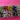 670dca8034be6e479edf2839_img-0296_1789515938508.jpeg