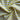 670dca8034be6e479edf2839_img-0321_1782600248985.jpeg