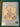 670dca8034be6e479edf2839_img-0325_1791213956257.jpeg