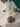 670dca8034be6e479edf2839_img-0405_1791243342421.jpeg
