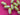 670dca8034be6e479edf2839_img-0408_1789860371994.jpeg