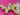 670dca8034be6e479edf2839_img-0409_1789860371995.jpeg