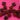 670dca8034be6e479edf2839_img-0429_1789860187792.jpeg