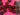 670dca8034be6e479edf2839_img-0430_1789860187792.jpeg